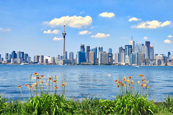 Toronto skyline beneath a blue sky with flowers in the foreground