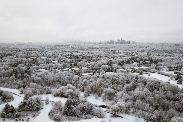 An expansive view of snow covered trees, with the Toronto cityscape visible in the distance.