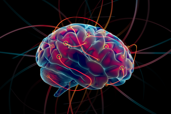 A brain lit up red and blue