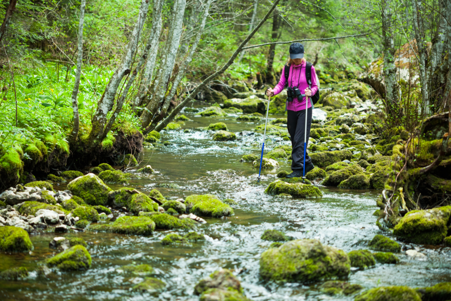 A woman walking through a lush forest alongside a winding river.