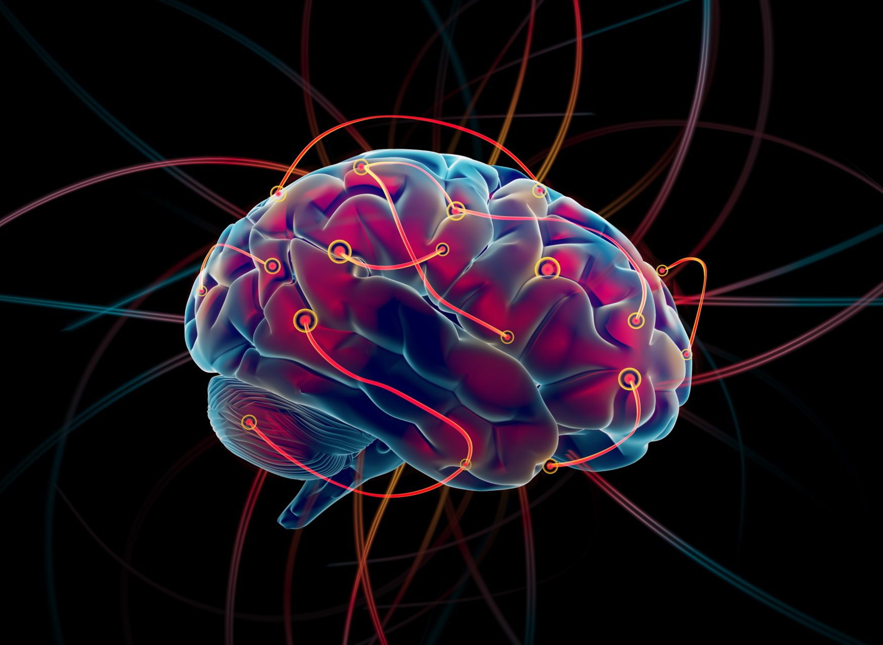 A brain lit up red and blue