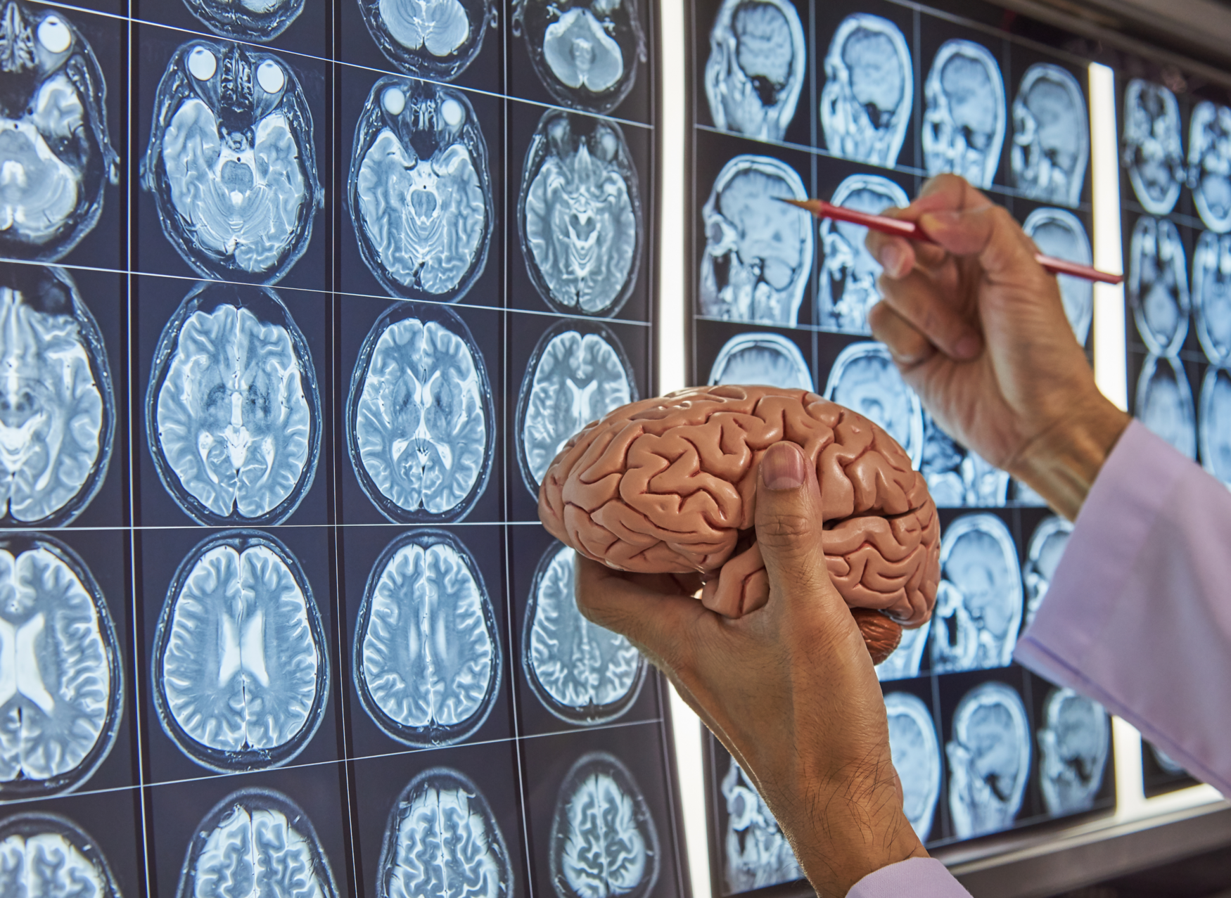 A panel of brain scans in the background, with a researcher holding a model of a brain in front.